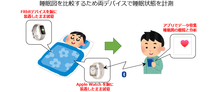 Apple Watch と Fitbit をそれぞれつけて睡眠データを計測